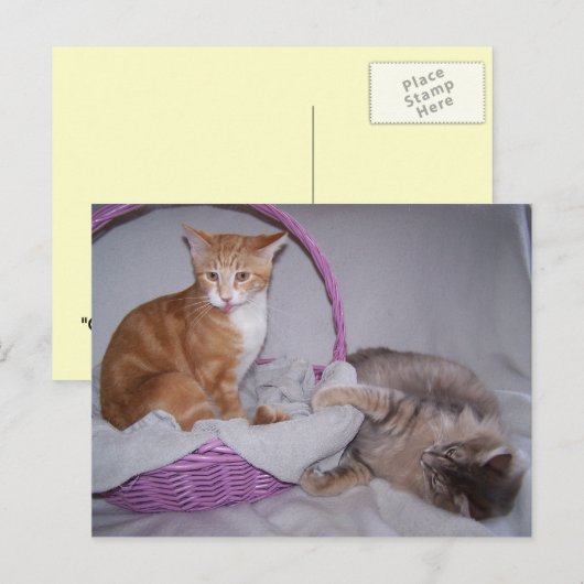 Razzbeeren Postkarte (Vorne/Hinten)