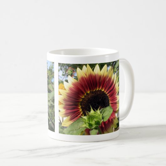 Razzmatazz-Sonnenblume Kaffeetasse (VorderseiteRechts)