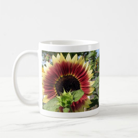 Razzmatazz-Sonnenblume Kaffeetasse (Links)