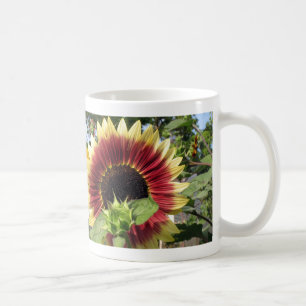 Razzmatazz-Sonnenblume Kaffeetasse