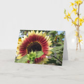Razzmatazz Sonnenblume Karte (Gelbe Blume)