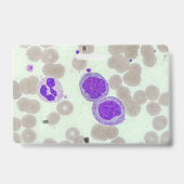 RBCs WBCs Slide Microscope Hämatology Labrador Ausweis (Rückseite)