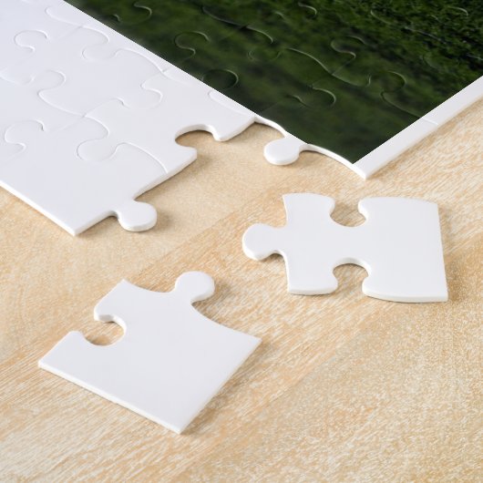 rcft  puzzle (Seite)