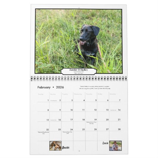 RCR Alumni 2020 Kalender (Feb 2026)