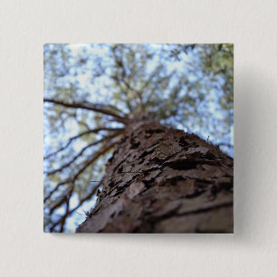 Reach High by Shirley Taylor Button