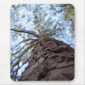 Reach High by Shirley Taylor Mousepad (Vorne)