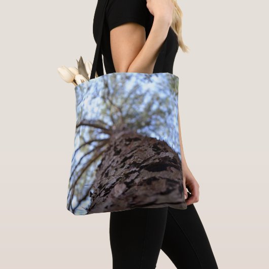 Reach High by Shirley Taylor Tasche (Von Nahem)