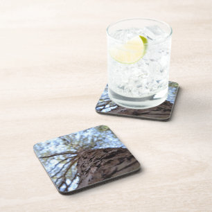 Reach High by Shirley Taylor Untersetzer