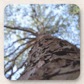 Reach High by Shirley Taylor Untersetzer (Vorderseite)