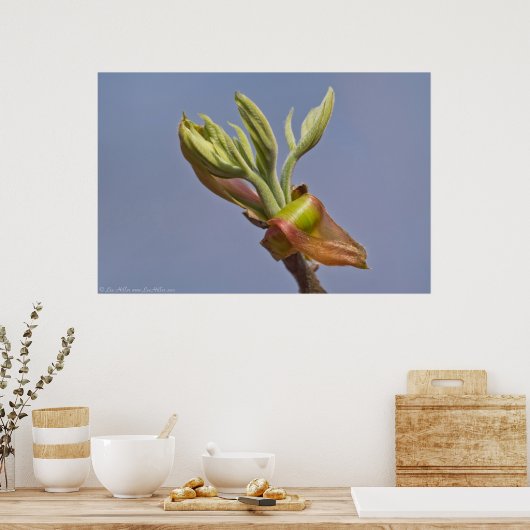 "Reaching" Spring Blätter Entfesselung Poster (Küche)