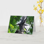 Reaching Upwards Karte (Gelbe Blume)