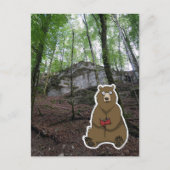 Reader Bear (color) Postkarte (Vorderseite)