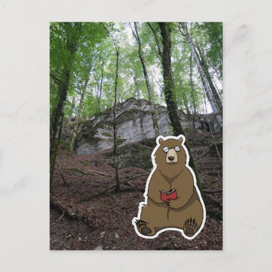 Reader Bear (color) Postkarte (Vorderseite)