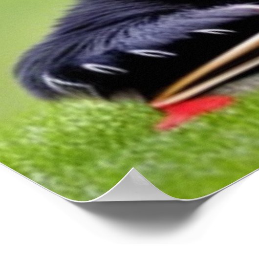 Reading Panda Chinese Optometrie Office anpassen Poster (Ecke)