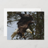 Ready for Flight Postkarte (Vorne/Hinten)