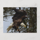 Ready for Flight Postkarte (Vorderseite)