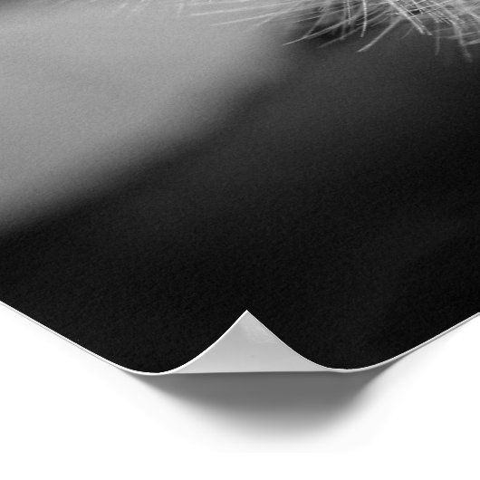 Ready for Take Off!!! Poster (Ecke)