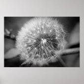 Ready for Take Off!!! Poster (Vorne)