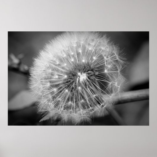 Ready for Take Off!!! Poster (Vorne)