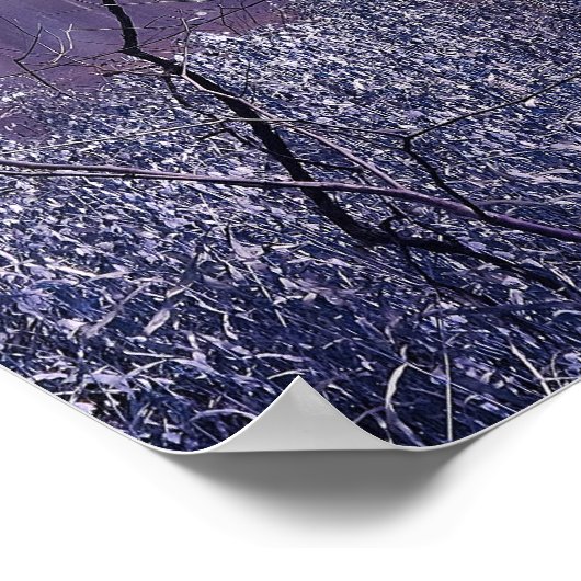 Ready To Cross Poster (Ecke)