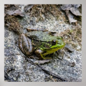 Ready to Go Poster (Vorne)