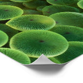 Reaktion auf das Motivierend Poster (Ecke)