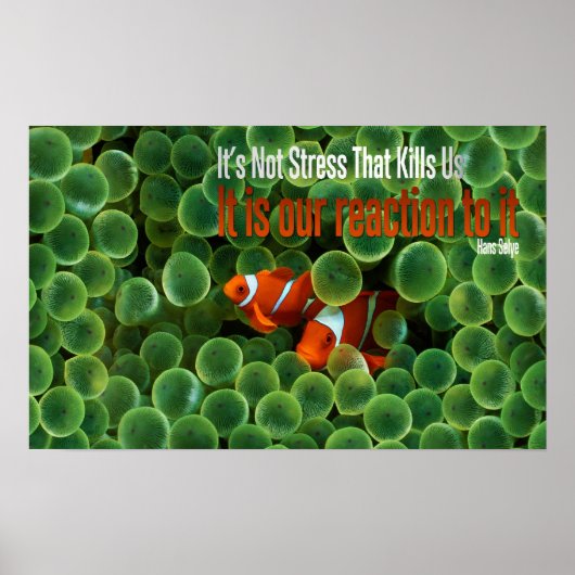 Reaktion auf das Motivierend Poster (Vorne)