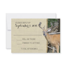 Reaktion auf die Camouflage von Waldhirschen