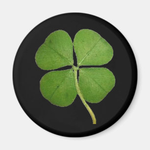 Real 4 Leaf Clover Kleeblatt Black Magnet