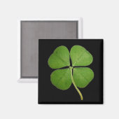 Real 4 Leaf Clover Kleeblatt Black Magnet (Vorderseite/Rückseite)