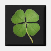 Real 4 Leaf Clover Kleeblatt Black Magnet (Vorne)