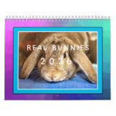REAL BUNIES 2026 KALENDER (Titelbild)