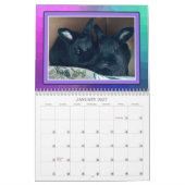 REAL BUNIES 2026 KALENDER (Jan 2027)