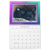 REAL BUNIES 2026 KALENDER (Jan 2026)