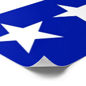 Real Change Obama Biden Posters Poster (Ecke)