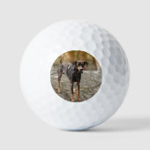 Real Custom Photo Gift For Golfers Titleist Pro V1 Golfball (Vorderseite)