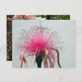 Real Fibre Optische Blume und Flamingo Postkarte (Vorne/Hinten)