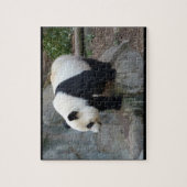 Real Foto Panda Bear Jigsaw Puzzle (Vertikal)
