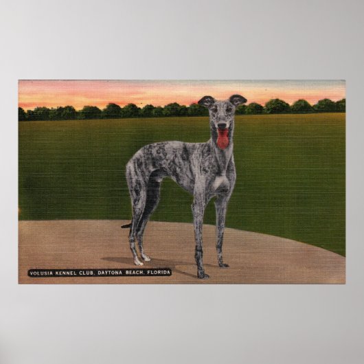 REAL HUNTSMAN Famous Greyhound Dog Poster (Vorne)