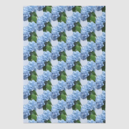 Real Hydrangea-Blume Seidenpapier (Vorderseite)