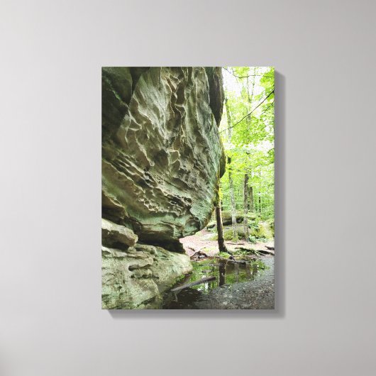 Real Nature Canvas Print | Misty Forest Home Decor Leinwanddruck (Vorderseite)