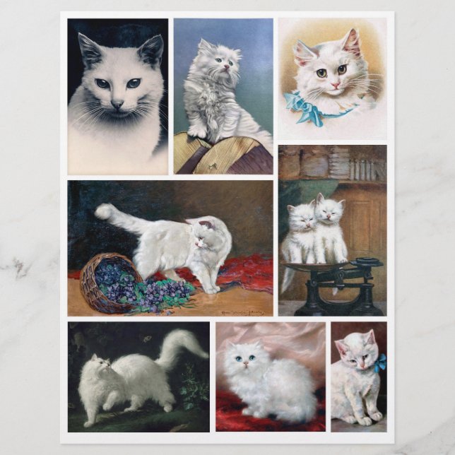 Real (not AI) White Cat Images from Victorian Era (Vorderseite)