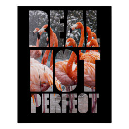 Real Not Perfect Zitat Flamingo Tropical Birds Pos Poster