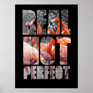 Real Not Perfect Zitat Flamingo tropische Vögel Poster