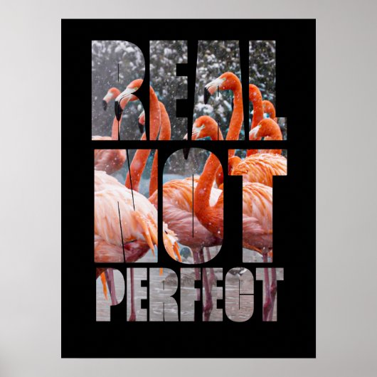 Real Not Perfect Zitat Flamingo tropische Vögel Poster (Vorne)