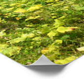 Real Portugal - Madeira Poster (Ecke)