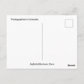 Real Roadrunner Postkarte (Rückseite)