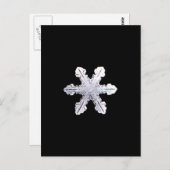 Real Snowflake Picture Postkarte (Vorne/Hinten)