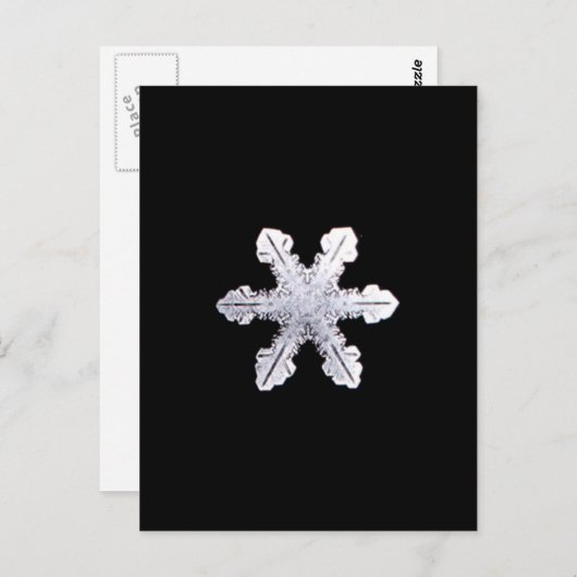 Real Snowflake Picture Postkarte (Vorne/Hinten)