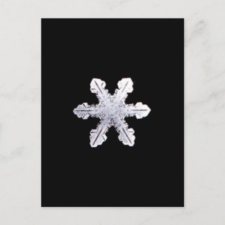 Real Snowflake Picture Postkarte